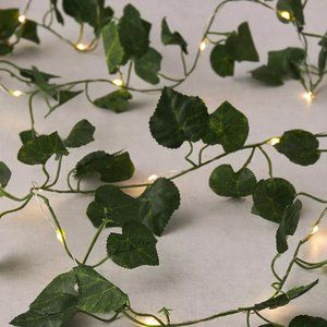 Urban Outfitters Ivy String Lights
